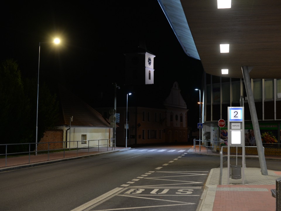 DSC_8229.JPG